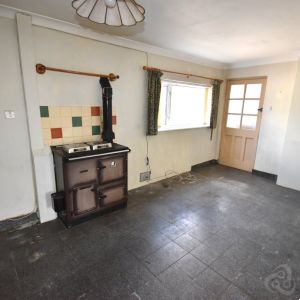 Gallery 10
